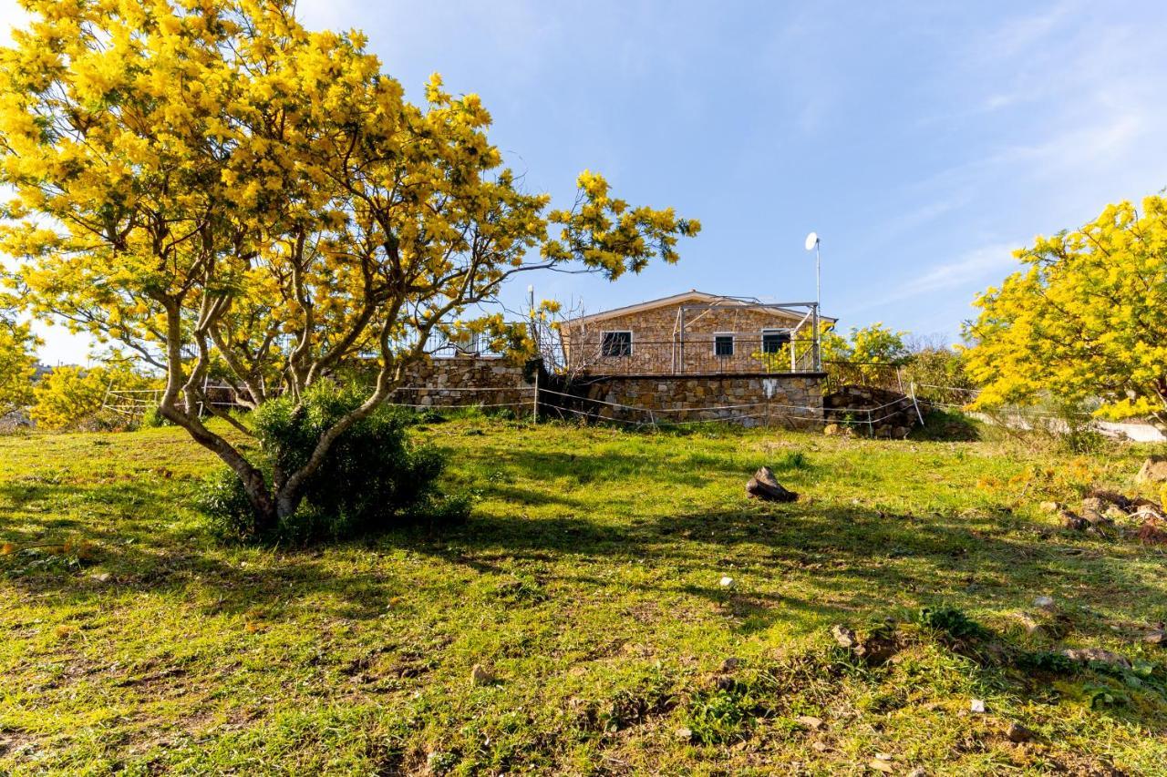 Agriturismo Le Mimose Imperia Exterior foto